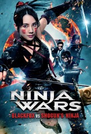 Ninja Wars: BlackFox vs Shogun's Ninja