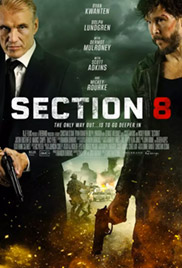 Section 8