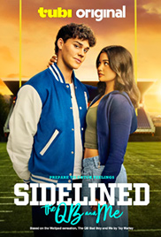 Sidelined: The QB and Me