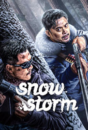 SnowStorm