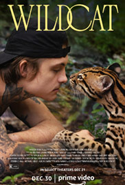 Wildcat