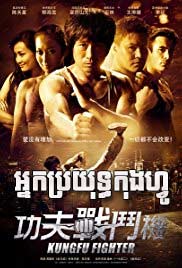 Kung Fu Fighter